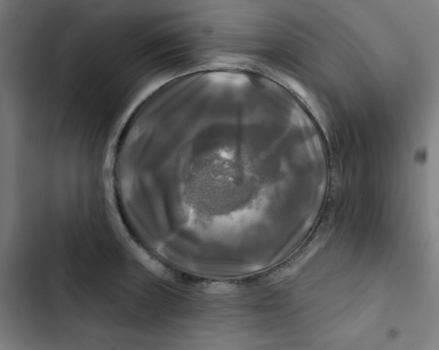 X0000102491235200809051314