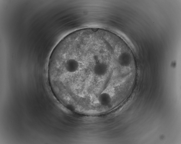 X0000102491236200809051314