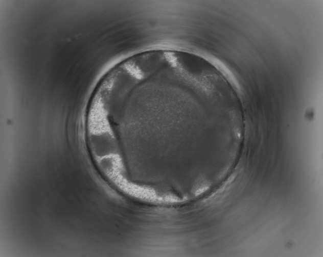 X0000102491238200809051314