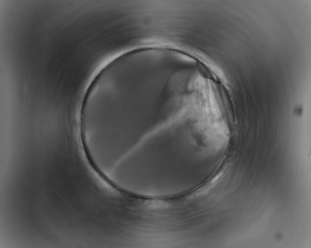 X0000102491239200809051314