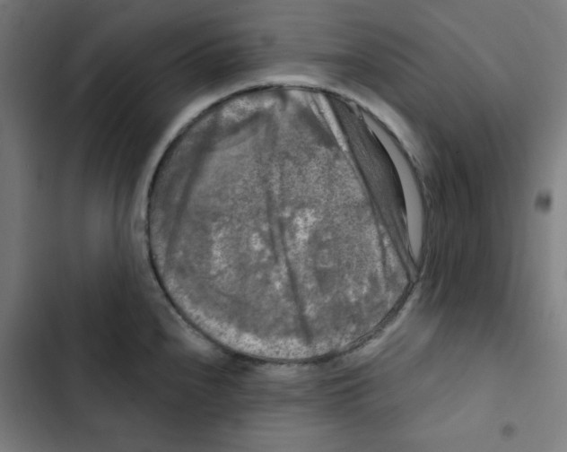 X0000102491240200809051314