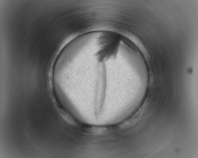 X0000102491242200809051314