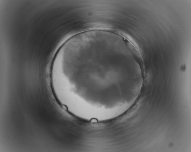 X0000102491243200809051314