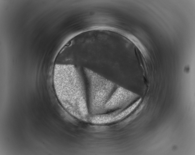 X0000102491244200809051314