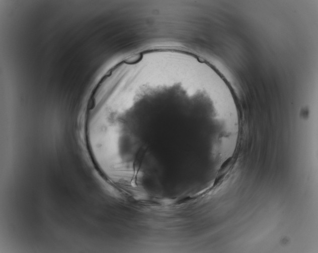 X0000102491245200809051314