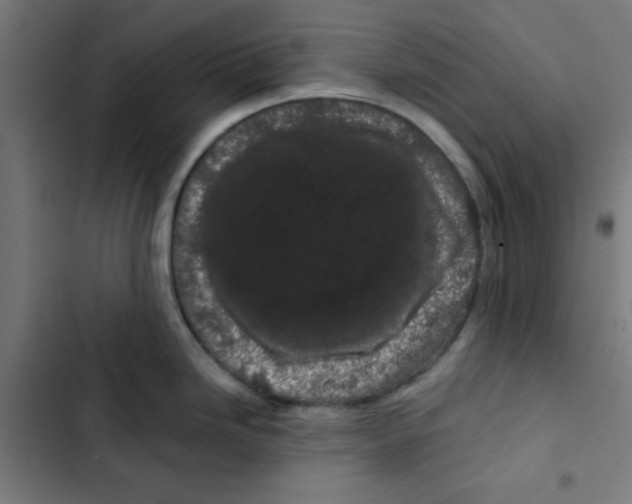 X0000102491246200809051314