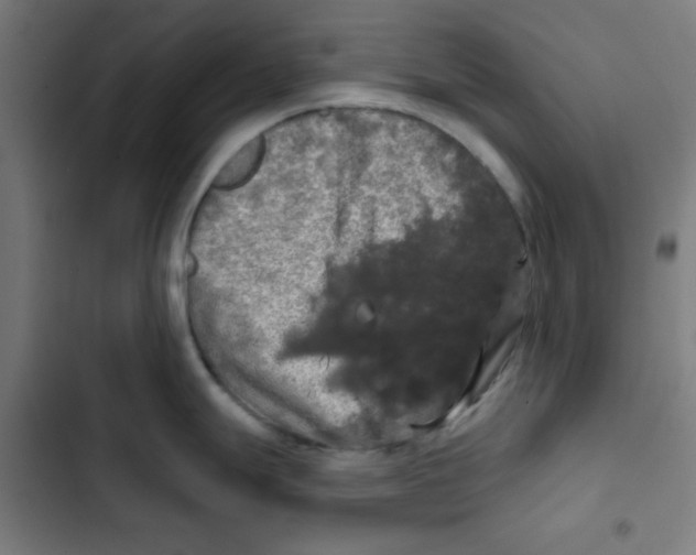 X0000102491247200809051314