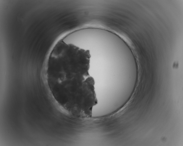 X0000102491248200809051314