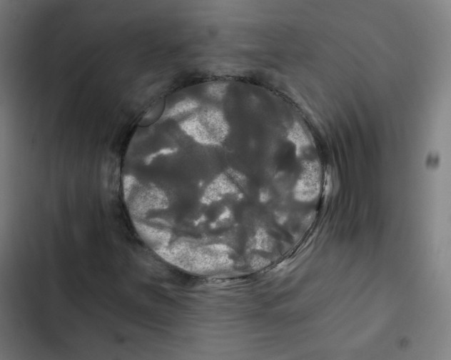 X0000102491251200809051314