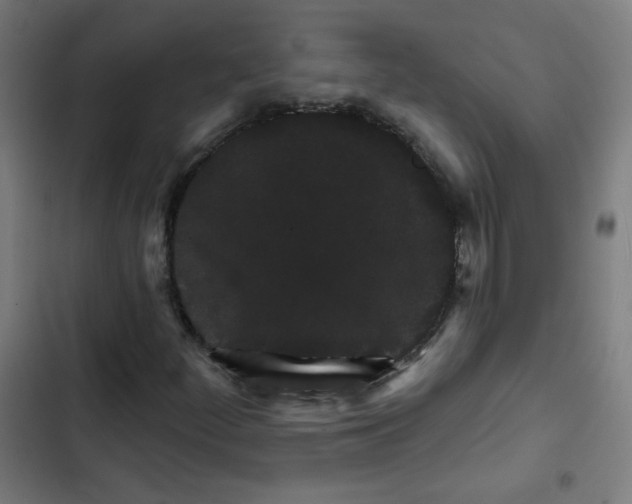 X0000102491252200809051314