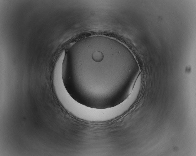 X0000102491253200809051314