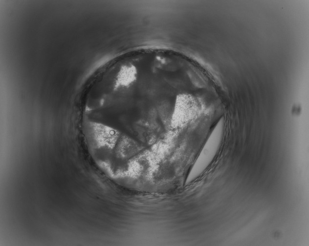 X0000102491255200809051314