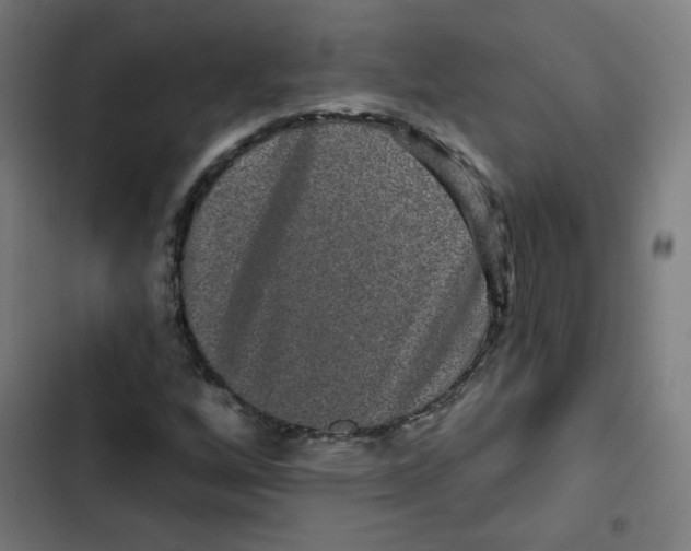 X0000102491256200809051314