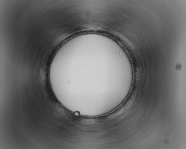 X0000102491257200809051314