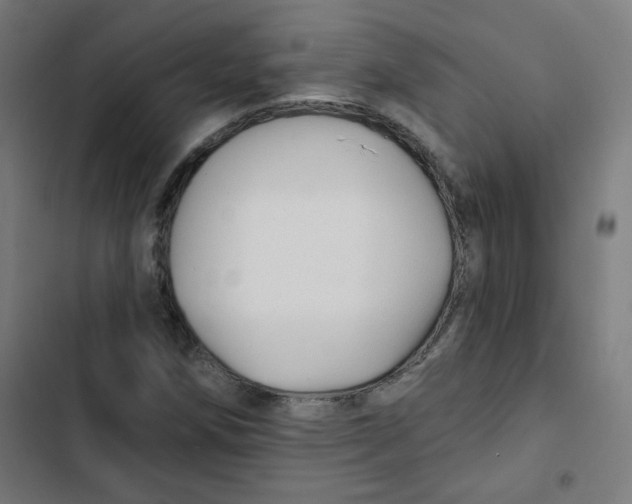 X0000102491258200809051314