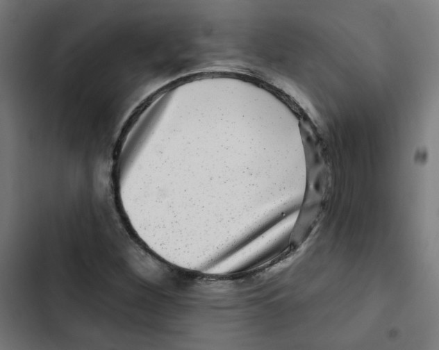 X0000102491260200809051313