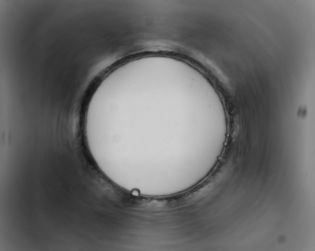 X0000102491261200809051313