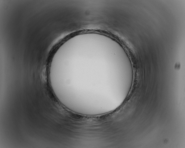 X0000102491262200809051313