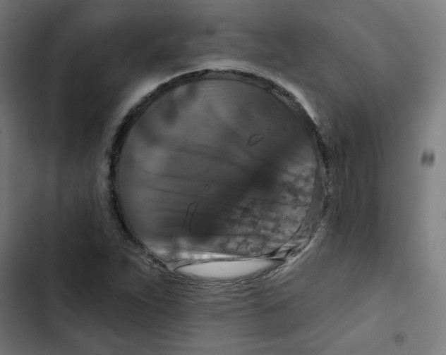 X0000102491263200809051313