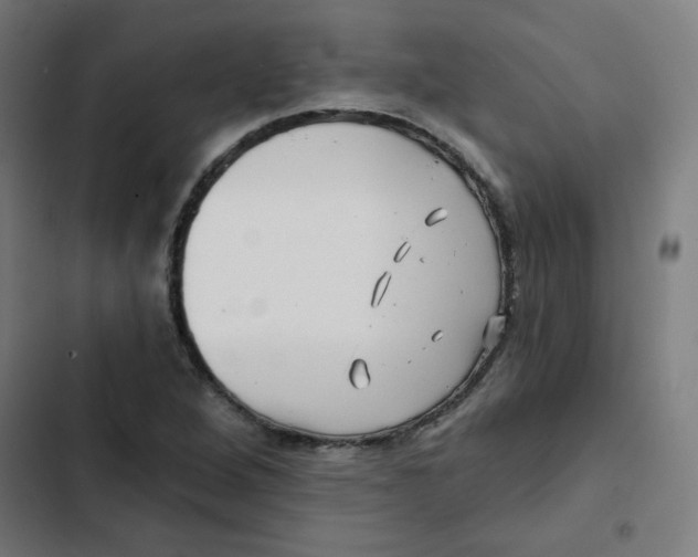 X0000102491264200809051313