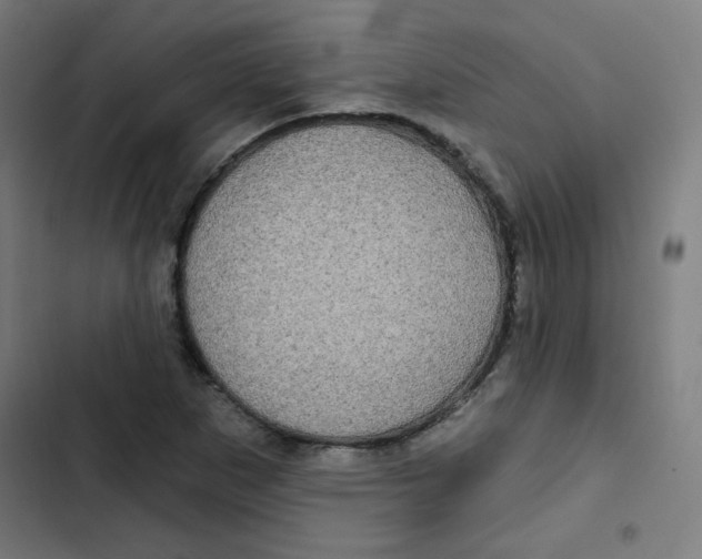 X0000102491265200809051313