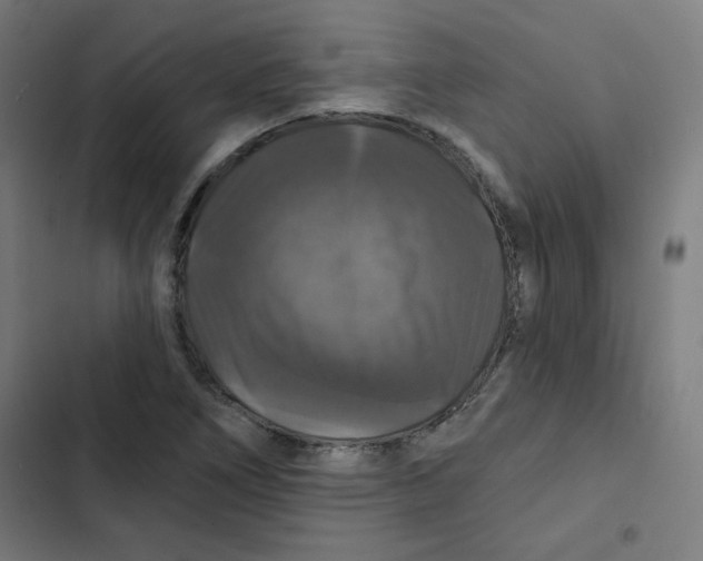 X0000102491266200809051313