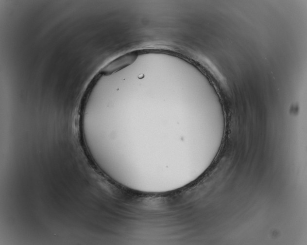 X0000102491268200809051313