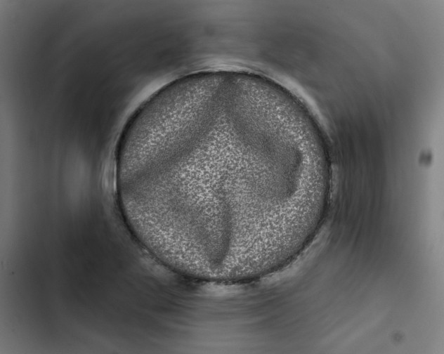 X0000102491269200809051313