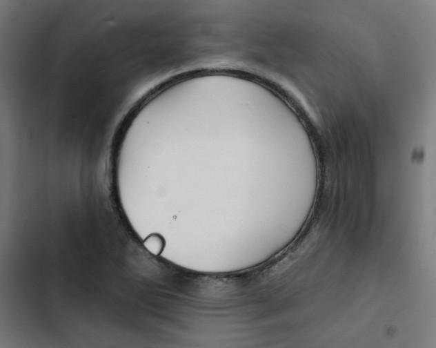 X0000102491270200809051313