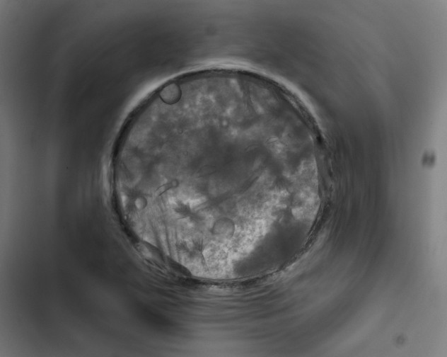 X0000102491271200809051313