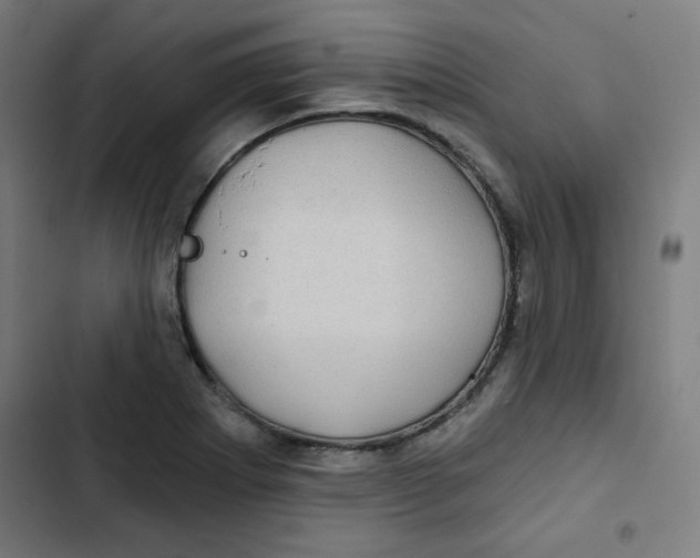 X0000102491273200809051313