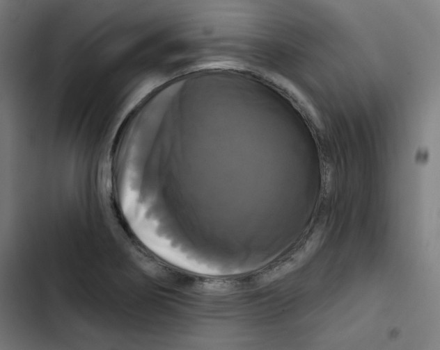 X0000102491274200809051313