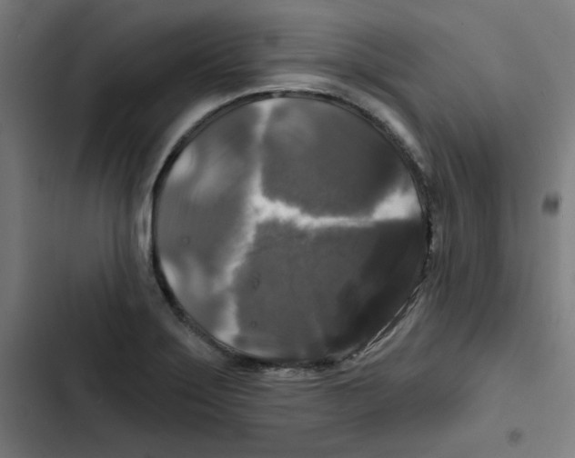 X0000102491275200809051313