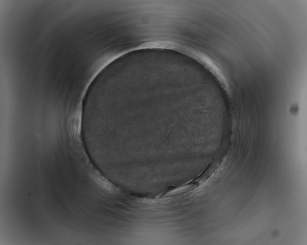 X0000102491276200809051313