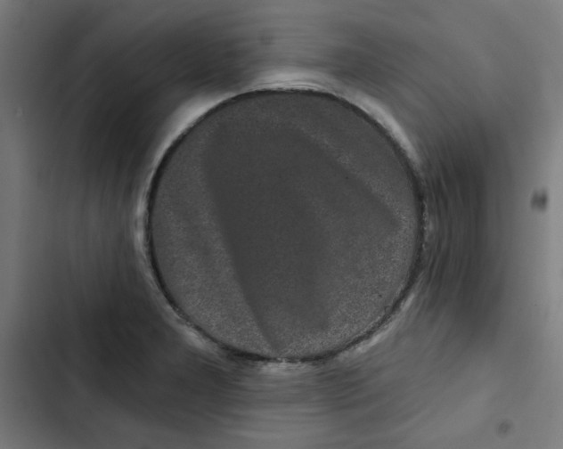 X0000102491277200809051313