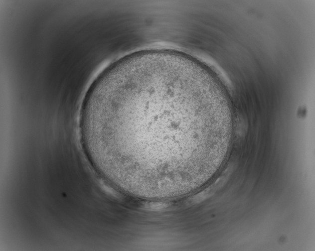 X0000102491278200809051313