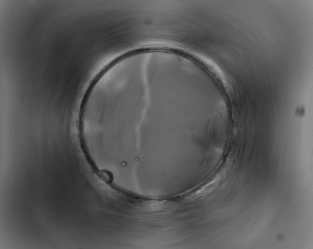 X0000102491279200809051313