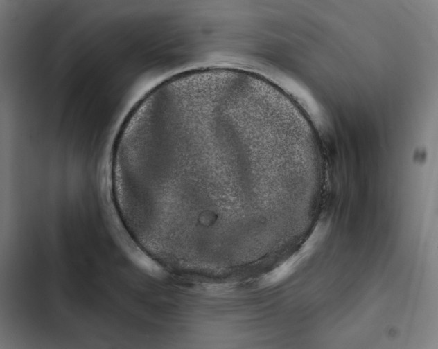 X0000102491280200809051313