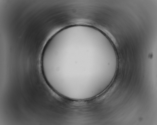 X0000102491285200809051313