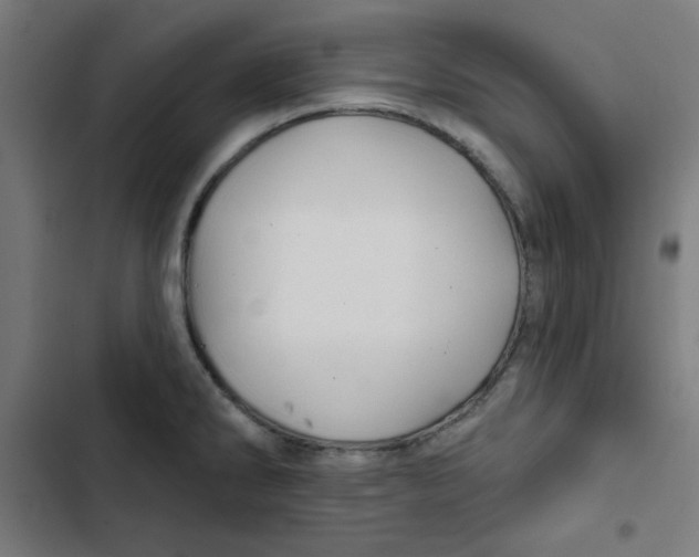 X0000102491286200809051313