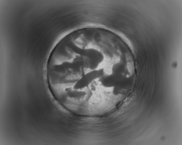 X0000102491287200809051313