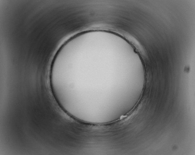 X0000102491288200809051313