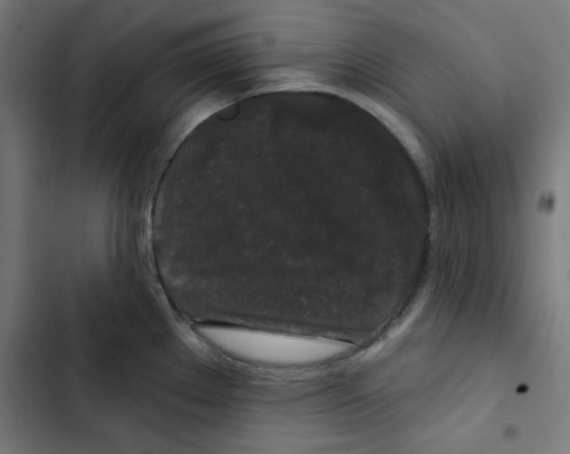 X0000102491289200809051313