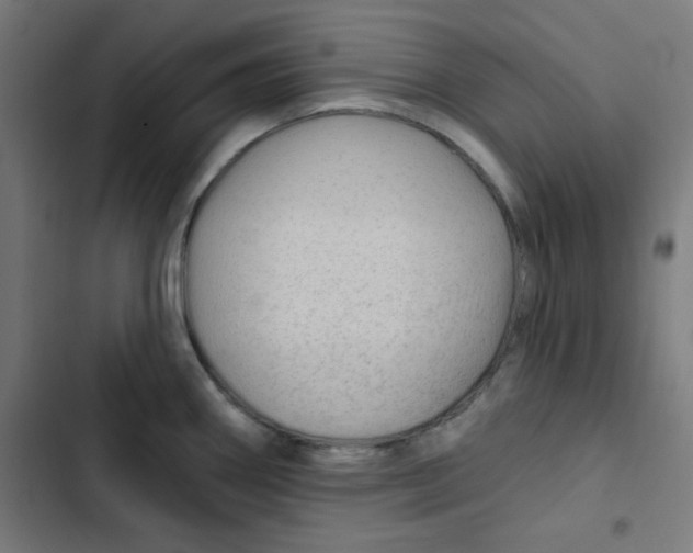 X0000102491290200809051313