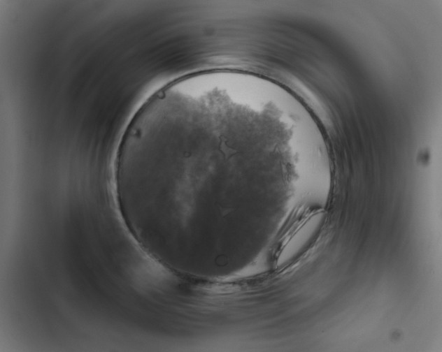 X0000102491291200809051313