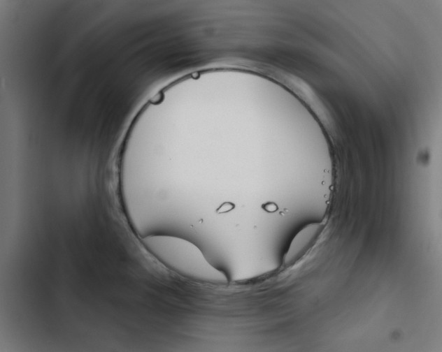 X0000102491292200809051313