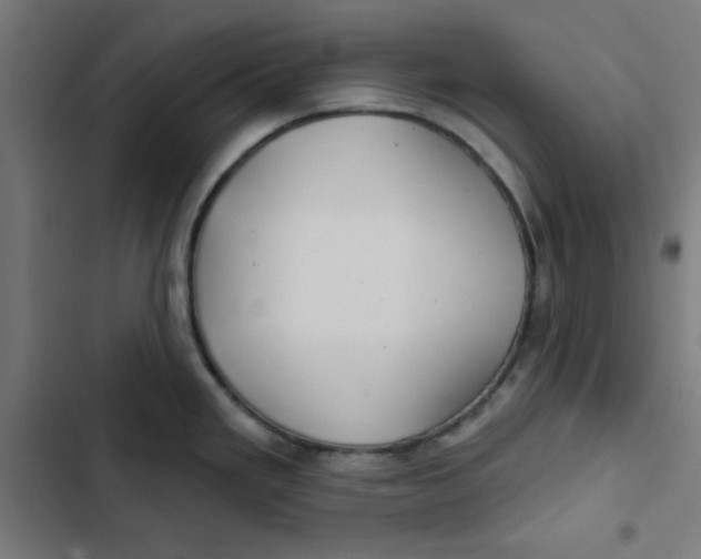 X0000102491293200809051313