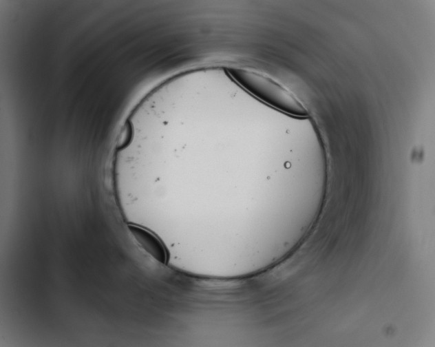 X0000102491296200809051313