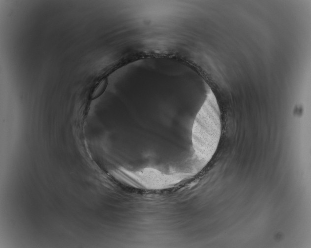 X0000102491297200809051312