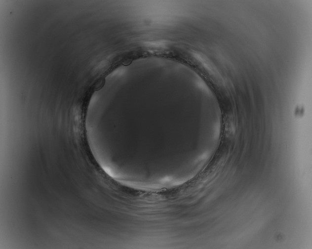 X0000102491298200809051312